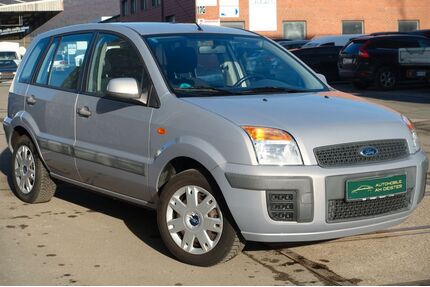 Ford Fusion Gebrauchtwagen