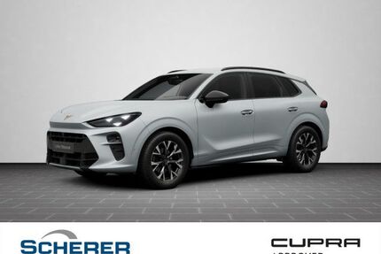 Cupra Terramar Gebrauchtwagen