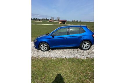Skoda Fabia Gebrauchtwagen