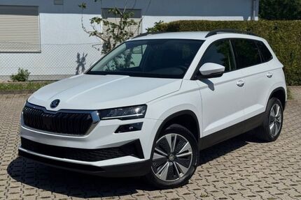 Skoda Karoq Gebrauchtwagen