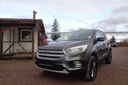 Ford Kuga Gebrauchtwagen