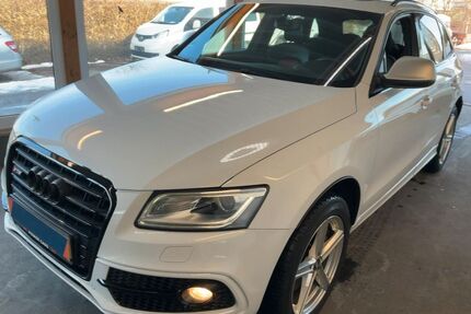 Audi SQ5 Gebrauchtwagen