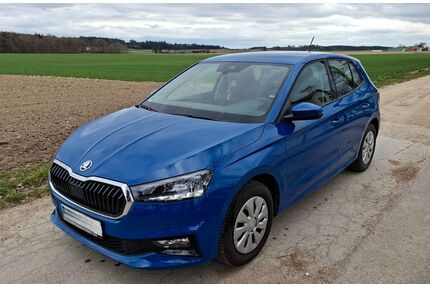 Skoda Fabia Gebrauchtwagen