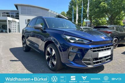 Cupra Terramar Gebrauchtwagen