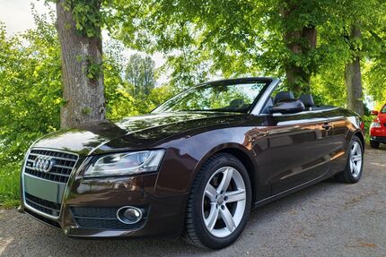 Audi A5 Gebrauchtwagen