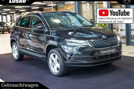 Skoda Karoq Gebrauchtwagen