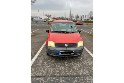 Fiat Panda Gebrauchtwagen