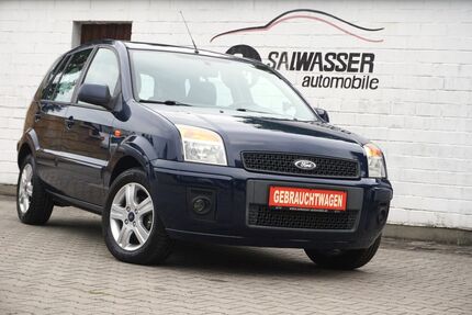 Ford Fusion Gebrauchtwagen