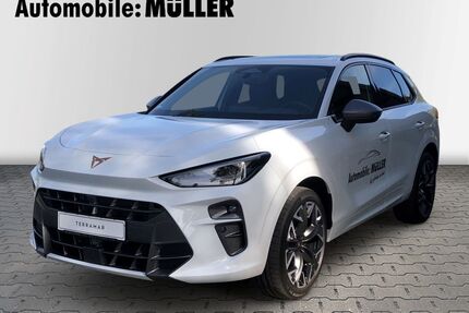 Cupra Terramar Gebrauchtwagen