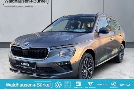 Skoda Kamiq Gebrauchtwagen