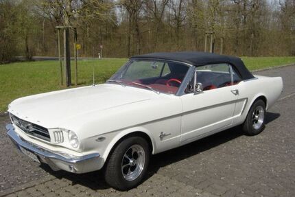 Ford Mustang Gebrauchtwagen