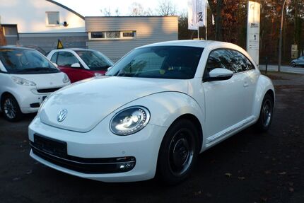 VW Beetle Gebrauchtwagen