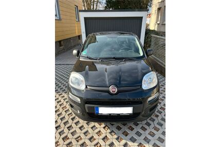 Fiat Panda Gebrauchtwagen