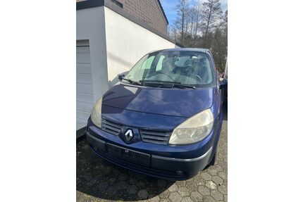 Renault Scenic Gebrauchtwagen