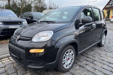Fiat Panda Gebrauchtwagen