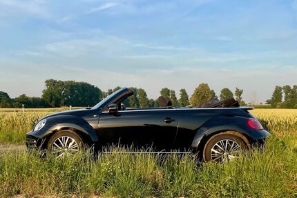 VW Beetle Gebrauchtwagen