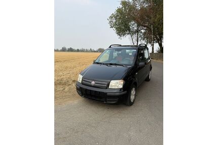 Fiat Panda Gebrauchtwagen