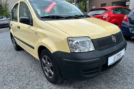 Fiat Panda Gebrauchtwagen
