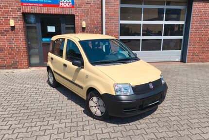 Fiat Panda Gebrauchtwagen
