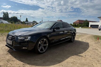 Audi A5 Gebrauchtwagen