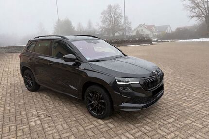 Skoda Karoq Gebrauchtwagen