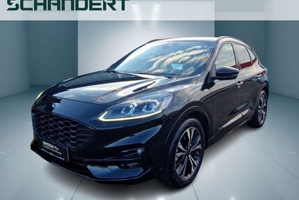 Ford Kuga Gebrauchtwagen