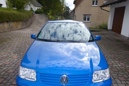 VW Polo Gebrauchtwagen