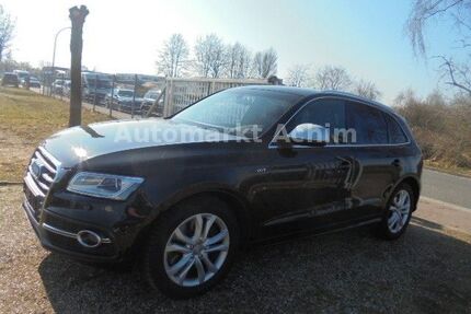 Audi SQ5 Gebrauchtwagen