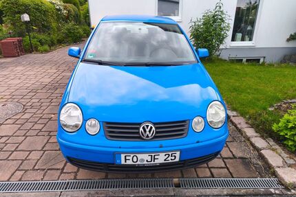 VW Polo Gebrauchtwagen