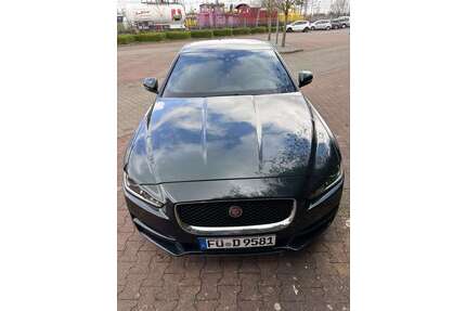 Jaguar XE Gebrauchtwagen