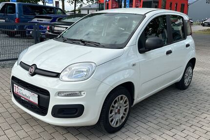 Fiat Panda Gebrauchtwagen
