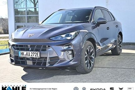 Cupra Terramar Gebrauchtwagen