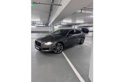 Jaguar XF Gebrauchtwagen