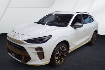 Cupra Terramar Gebrauchtwagen