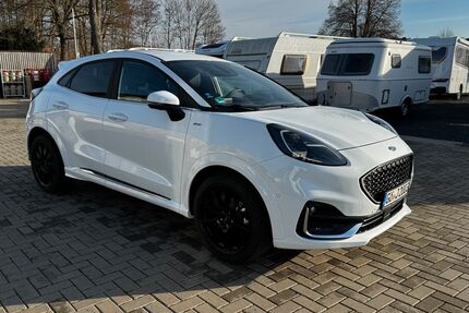 Ford Puma Gebrauchtwagen
