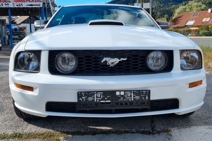 Ford Mustang Gebrauchtwagen