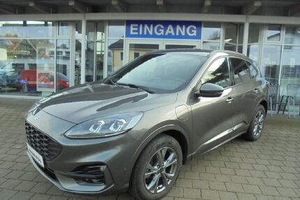 Ford Kuga Gebrauchtwagen