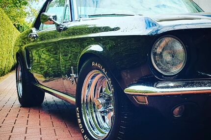 Ford Mustang Gebrauchtwagen
