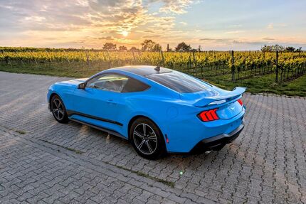 Ford Mustang Gebrauchtwagen