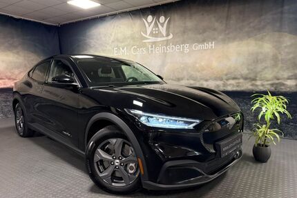 Ford Mustang Mach-E Gebrauchtwagen