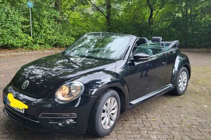 VW Beetle Gebrauchtwagen
