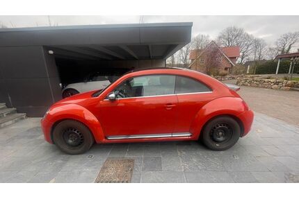 VW Beetle Gebrauchtwagen