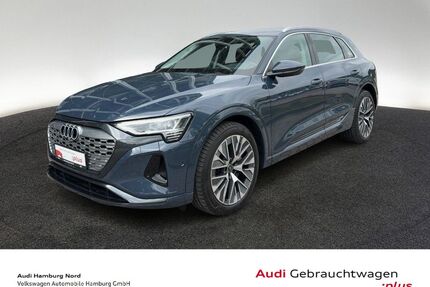 Audi Q8 e-tron Gebrauchtwagen