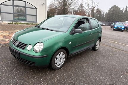 VW Polo Gebrauchtwagen