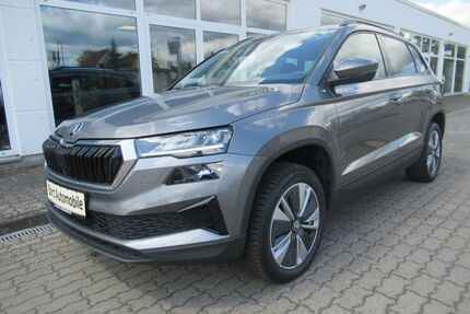 Skoda Karoq Gebrauchtwagen