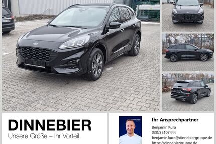 Ford Kuga Gebrauchtwagen