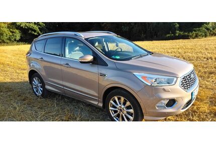 Ford Kuga Gebrauchtwagen
