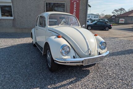 VW Käfer Gebrauchtwagen