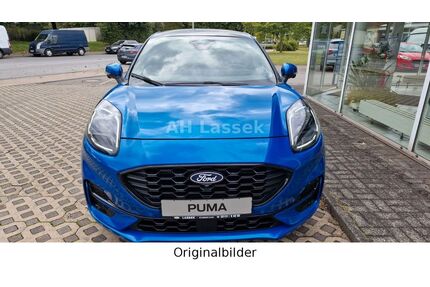 Ford Puma Gebrauchtwagen