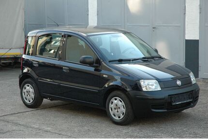 Fiat New Panda Gebrauchtwagen